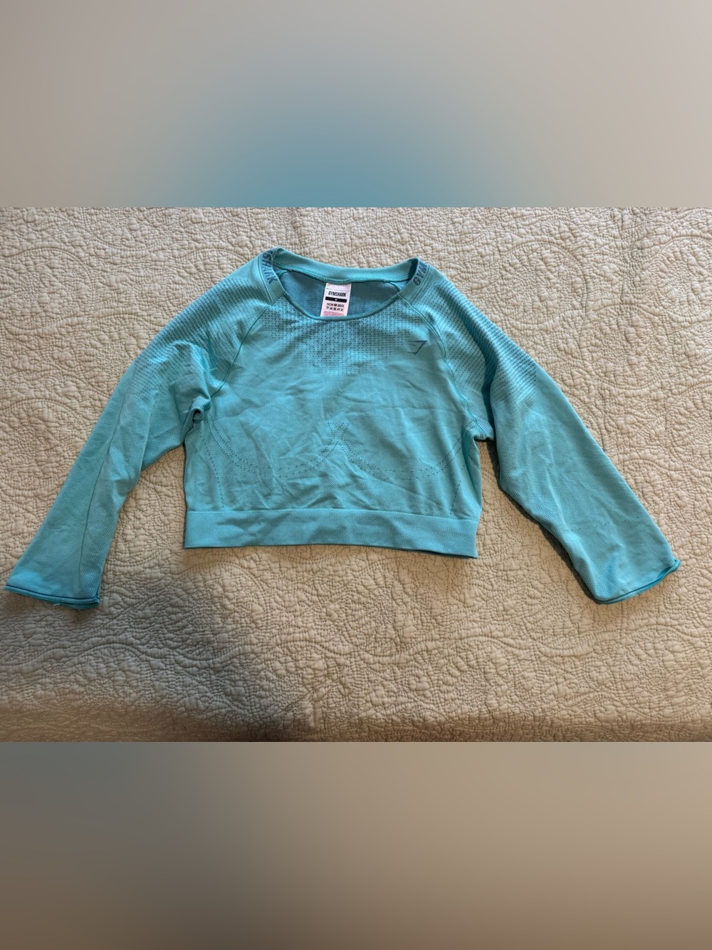 Gymshark Aqua Cropped Long-Sleeve Athletic Top